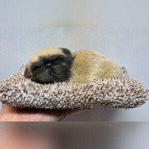 Perfect Petzzz Mini Snoring Pug Attached To Bed Press To Hear Snore!